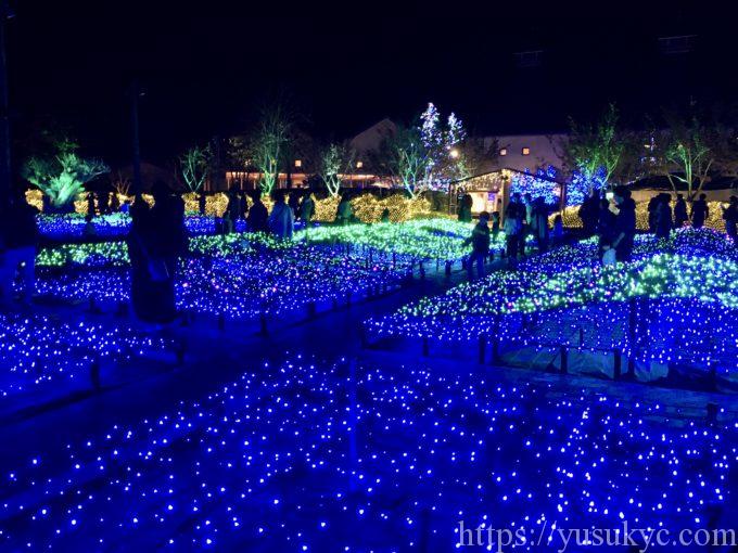 なばなの里イルミネーション2019-2020の光の海