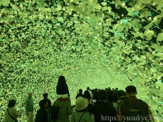 なばなの里イルミネーション2019-2020の光のトンネル