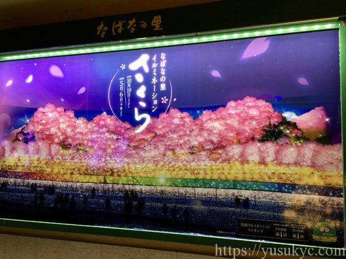 なばなの里イルミネーション2019-2020