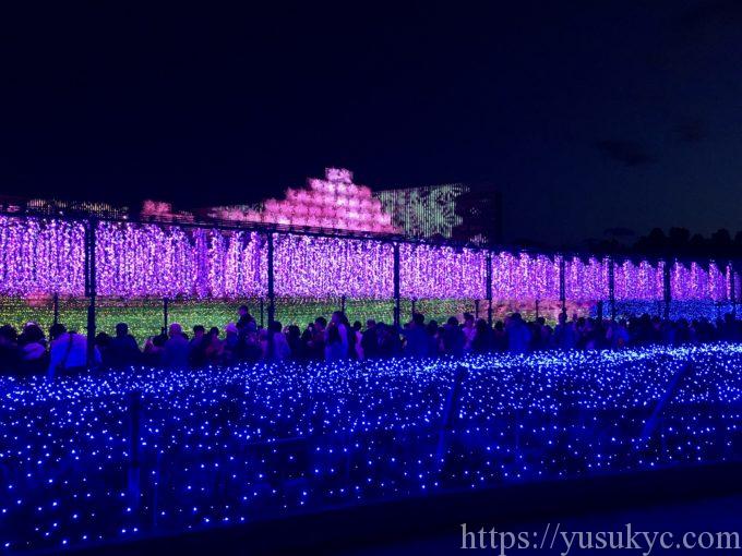 なばなの里イルミネーション2019-2020