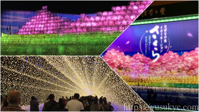 なばなの里イルミネーション2019-2020