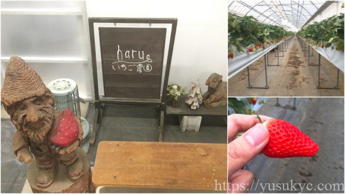 haruいちご農園