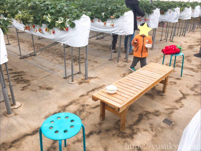 haruいちご農園のいちご狩り