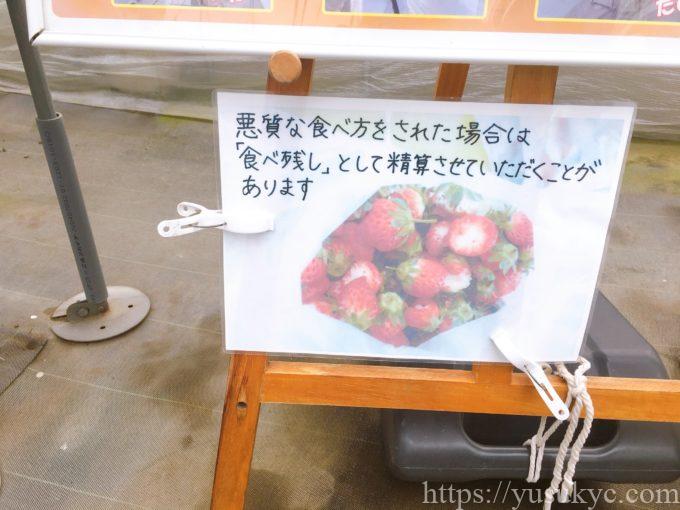 haruいちご農園のいちご狩り