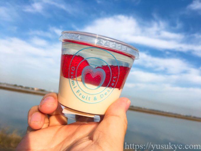 オオスミフルーツ本店のフルーツババロア