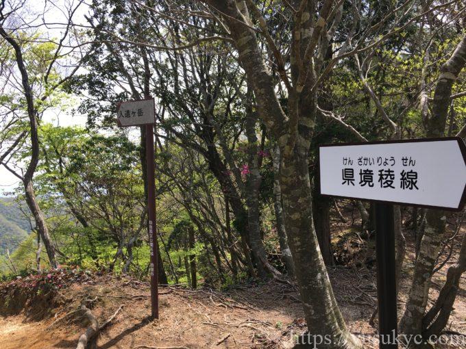 入道ヶ岳イワクラ尾根コース