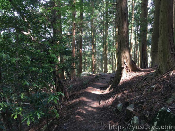 入道ヶ岳井戸谷コース