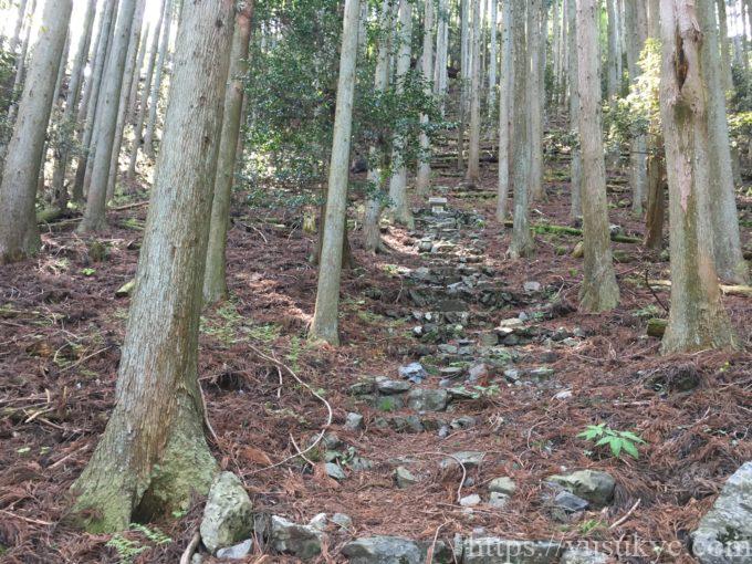 入道ヶ岳井戸谷コース