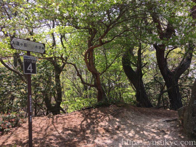 入道ヶ岳イワクラ尾根コース