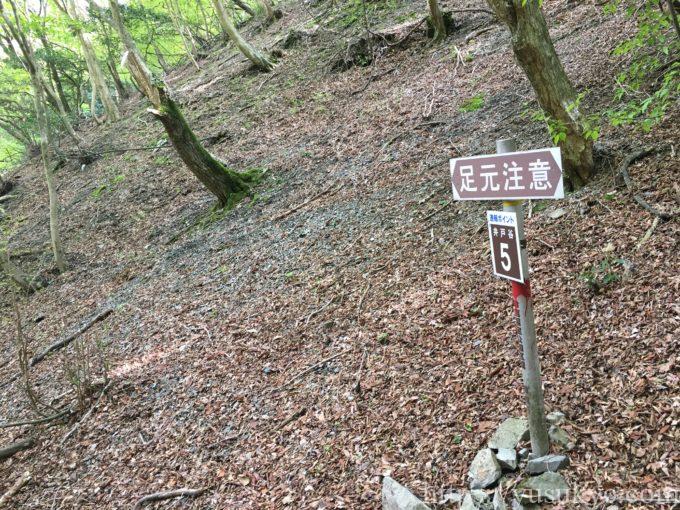 入道ヶ岳井戸谷コース