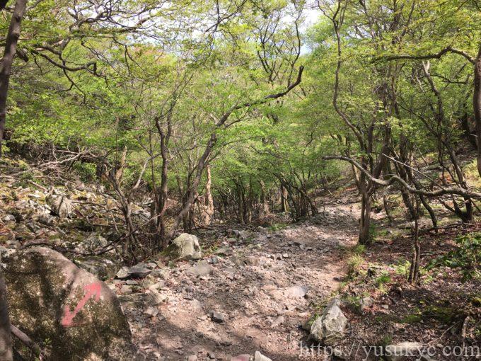 入道ヶ岳井戸谷コース