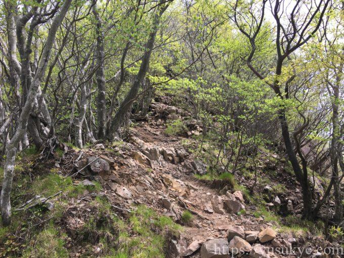 入道ヶ岳イワクラ尾根コース