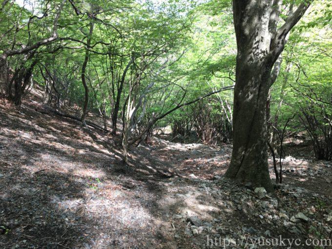 入道ヶ岳井戸谷コース