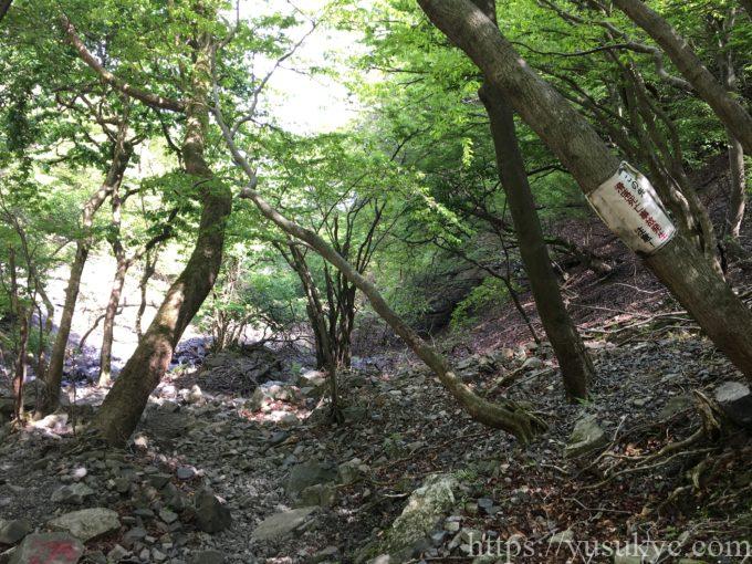 入道ヶ岳井戸谷コース