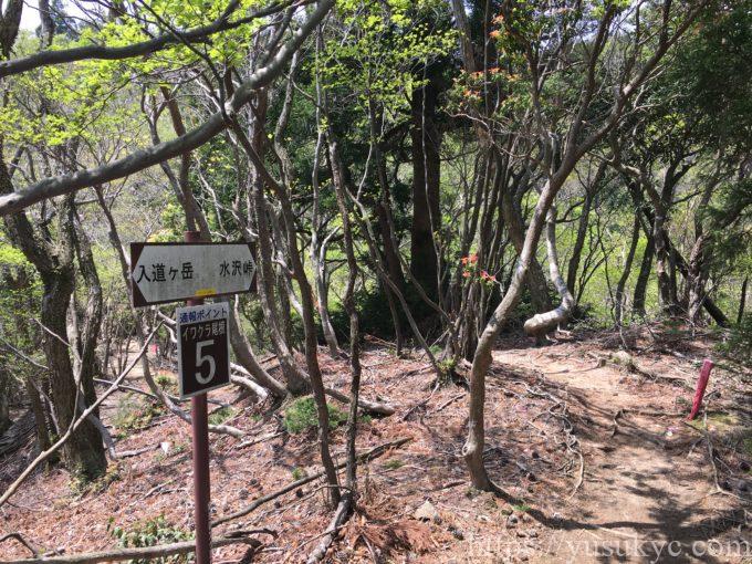 入道ヶ岳イワクラ尾根コース