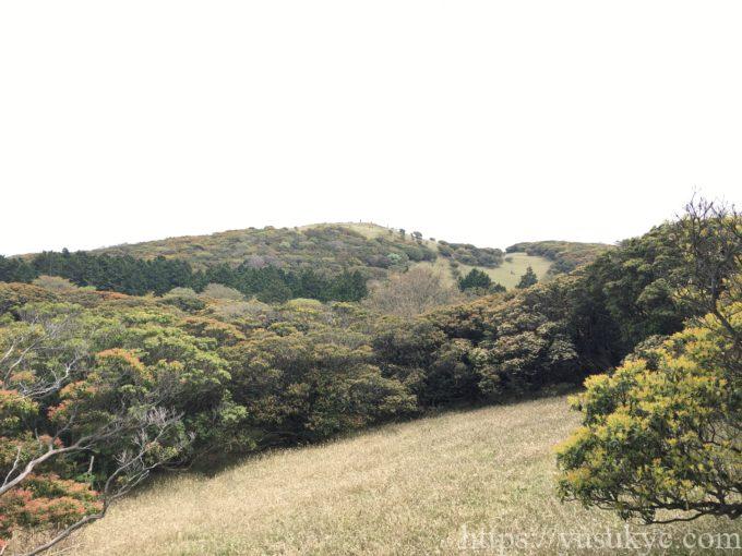 入道ヶ岳山頂付近