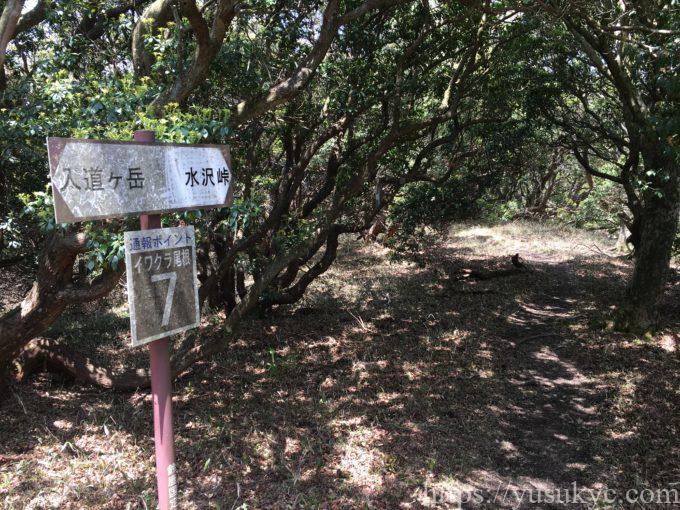 入道ヶ岳イワクラ尾根コース