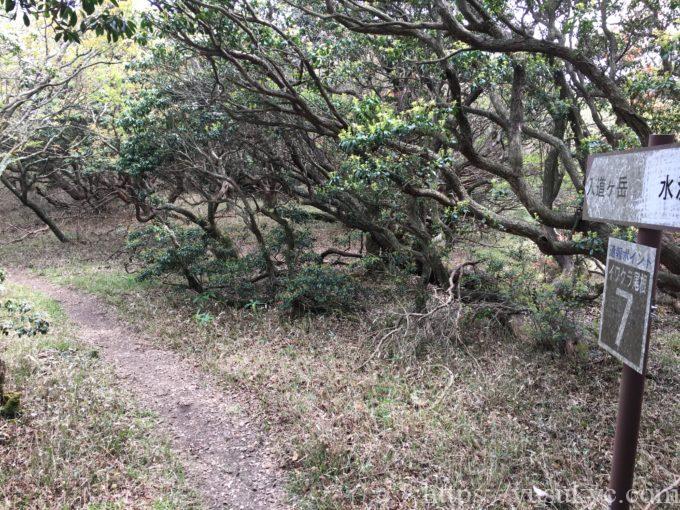 入道ヶ岳イワクラ尾根コース