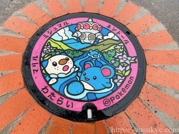 度会町のポケふた