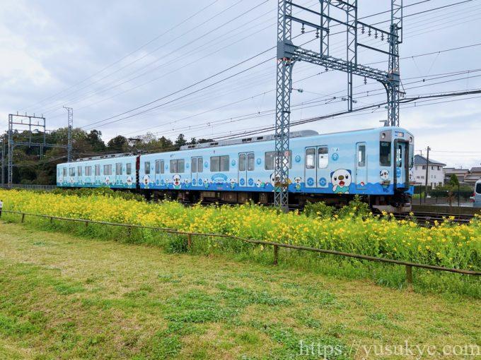 ミジュマルトレイン