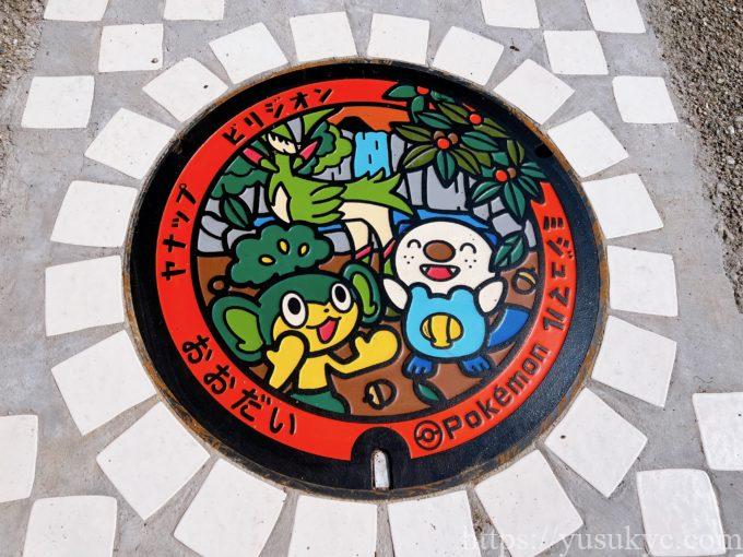 大台町のポケふた