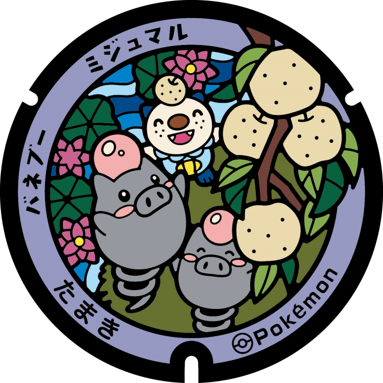 多気町のポケふた